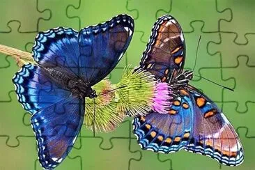 natural jigsaw puzzle