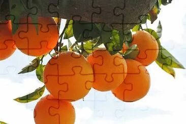 frutas jigsaw puzzle