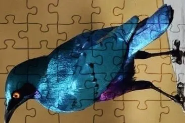 natural jigsaw puzzle