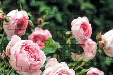 flores jigsaw puzzle