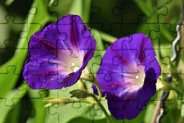 Imagem jigsaw puzzle