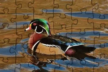 Imagem jigsaw puzzle
