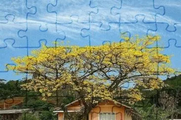 Imagem jigsaw puzzle