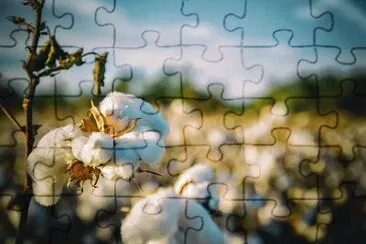 Imagem jigsaw puzzle
