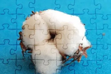Imagem jigsaw puzzle