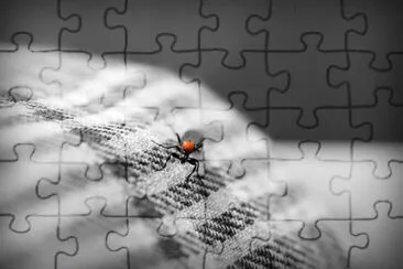 Imagem jigsaw puzzle