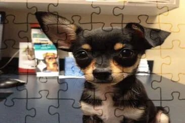 â™¥â™¥â™¥ jigsaw puzzle