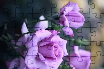 flores jigsaw puzzle
