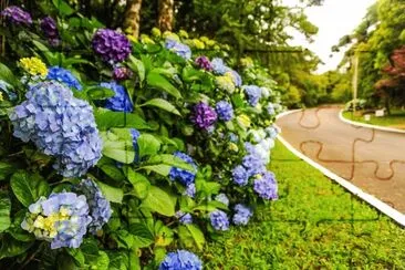 imagem jigsaw puzzle