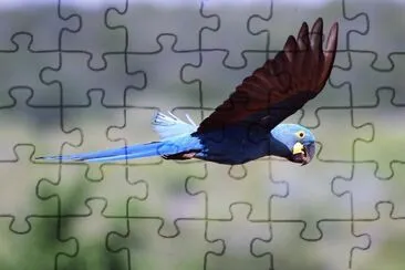 natural jigsaw puzzle