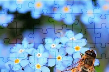 natural jigsaw puzzle