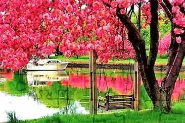 flores jigsaw puzzle