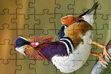 natural jigsaw puzzle