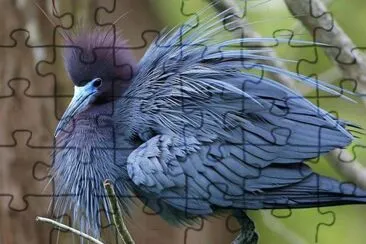 natural jigsaw puzzle