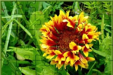 gaillarde jigsaw puzzle