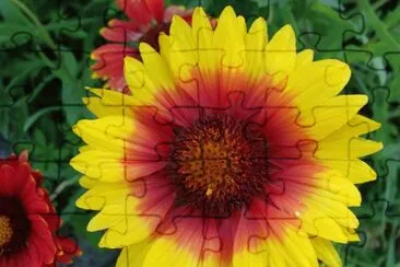 gaillarde jigsaw puzzle