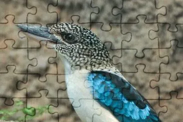 Imagem jigsaw puzzle