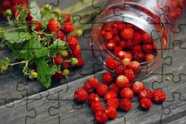 fruits jigsaw puzzle