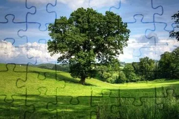 Imagem jigsaw puzzle