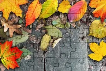 Imagem jigsaw puzzle