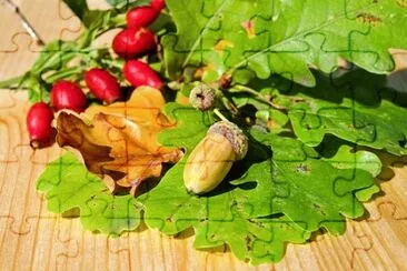 Imagem jigsaw puzzle