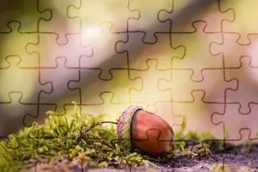 Imagem jigsaw puzzle
