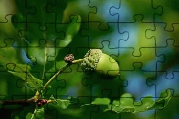 Imagem jigsaw puzzle
