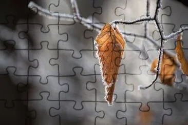 Imagem jigsaw puzzle