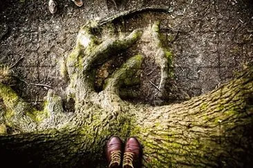 Imagem jigsaw puzzle