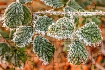 Imagem jigsaw puzzle