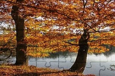 Imagem jigsaw puzzle