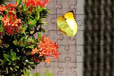 Imagem jigsaw puzzle