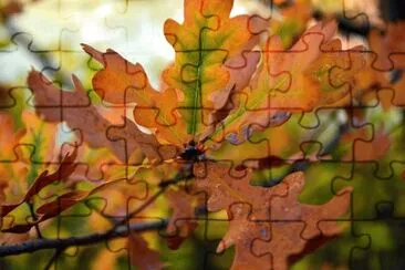 Imagem jigsaw puzzle