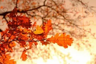 Imagem jigsaw puzzle