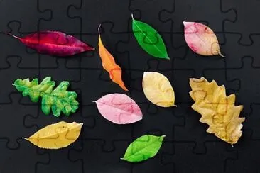Imagem jigsaw puzzle