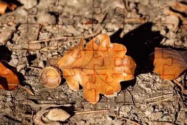 Imagem jigsaw puzzle