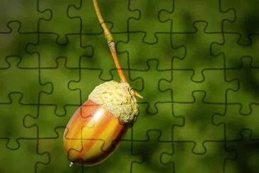Imagem jigsaw puzzle