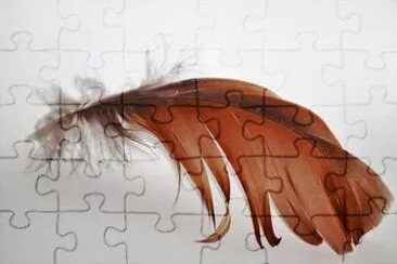 Imagem jigsaw puzzle