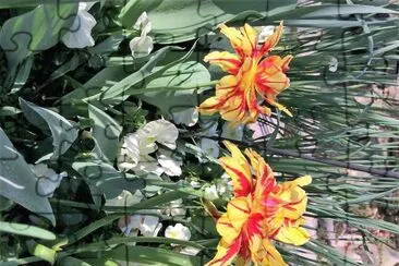 flores jigsaw puzzle