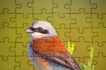 natural jigsaw puzzle
