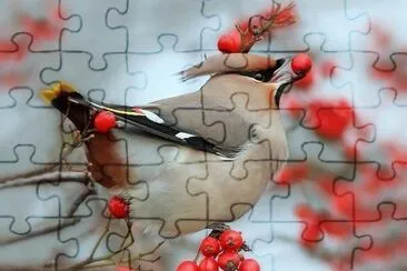 natural jigsaw puzzle