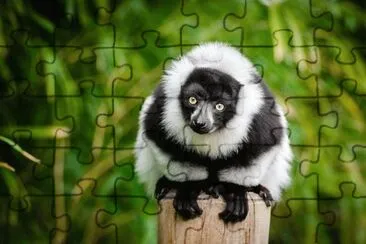 Imagem jigsaw puzzle