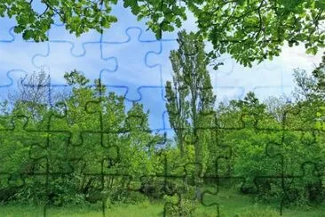 Imagem jigsaw puzzle