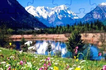 natural jigsaw puzzle