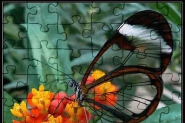 transparente jigsaw puzzle