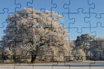 Imagem jigsaw puzzle