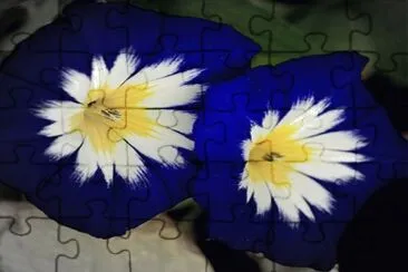 azul