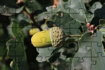Imagem jigsaw puzzle