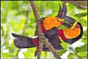 natural jigsaw puzzle