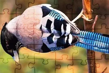natural jigsaw puzzle